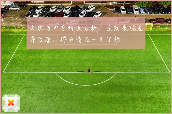 文班与申京对决分析：主防表现差异显著，得分情况一目了然
